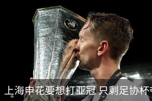 上海申花要想打亚冠 只剩足协杯夺冠一条路